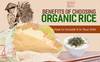 Benefits of choosing organic rice and how to include it in your diet