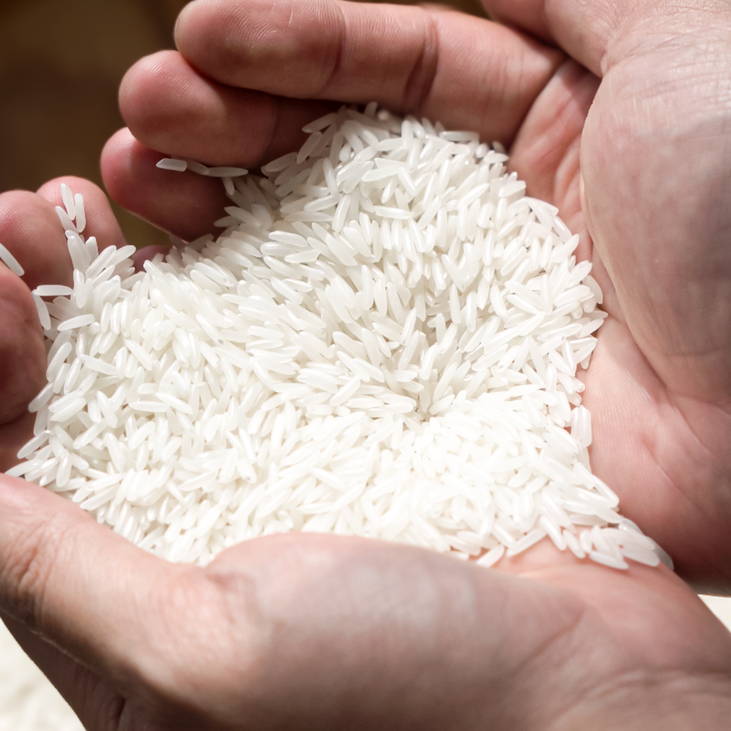 Insta Rice ST25 Premium Vietnamese Fragrant Rice – Great Taste 2024 Winner – Soft, Aromatic Long-Grain Premium Rice